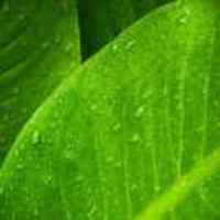 4826be019cd952730595d6b2e7eb3424283d716f