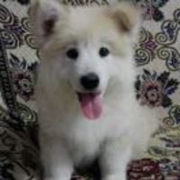 3fd209a2eb3ac47a49afd84d2d04d2c4503f2cba