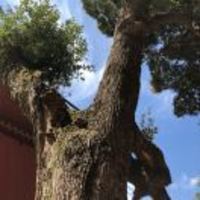 14d6e741fb8e146bc77602a13d6973d06c849fc6