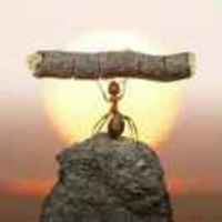 E0eabe43a37719c93dc365afb8e8b77e26ea11a2