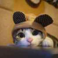 D61b986445438338b014ba40bbb1e4b8b0e0ddb3