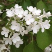 772353ea9ae7525682d53b9532bd299f33ae4a24