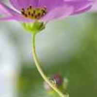 78f241e9da851ea1dc19057756ddcde5d96623b7