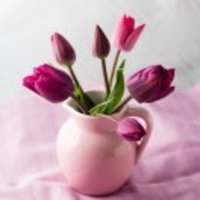 C5d845aed3283f3d3187cc081cc25736e8ef3a45