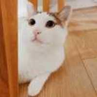 6d2a803d2de9cd0ce04f0b351f076484e98f751f