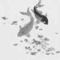 8560a498e74ab9f788d1d978e87c5e69d35e80c7