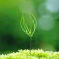 Ce6d51da4e14ce840c67f9d93e12274c00e0e04c