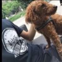 873c46e0cec1ad8eebdc242aba5516ec9e0f502a