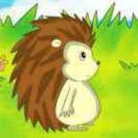 988f0d114eef668a4daea3f3f9e0624250161828