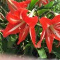 58cb38475a7515ec1fb36687d876189754beac83