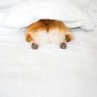 71b2732f9b5c3cfeabbf8cb6d09b1cb1828ba1eb