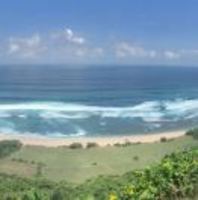 755264136abf1f3b22f667eafc20bd974b3d77ec