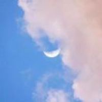 120468bffe968e9b83b84b7a1e0d7f8c7774501f