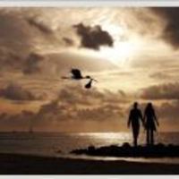 B9558f0480a74354f2e6c0ee544d84f84d1cfc33