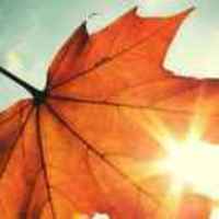 6b74f2b1921b9c5522b5f33bdb057d49f6fd8643