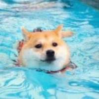 A50240b1e5fb1dbb30a5ac71fc8a288192f8db68