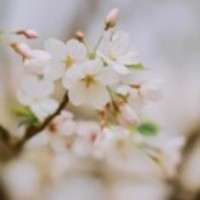 935ad5a96c082a4713f7ad55cf52045c7f1a3fc8