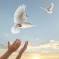 03b9d7ed58692bb816164fc434834c4a9e92db8d