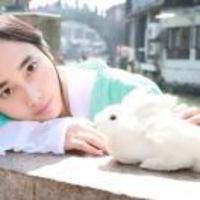 92e6661c549466c4a6177ac1168e3f02b7448fd3