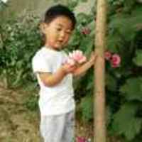 5cc8a82a9e4fd515e49fb673e237293debee308e