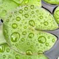 B9b290f87faa0792e0fd13088e199ed753e84144