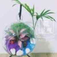 7e3b374f13a3655cef4264359fcabc666c7b3190