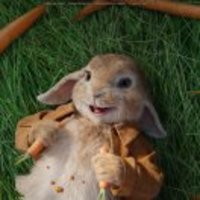 7faf6c4442f21baf4272c7cc6b0446b054f57d42