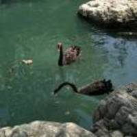 7ae5c8272ef99debba49051c8f8a4369d7d2a9b1