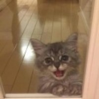 Ded228ecbe9a446a8a716226bcde0415608278bc