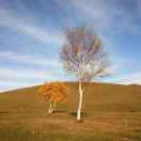 A2aef957c5d4aa53654ede701ce234b92e2e5a39