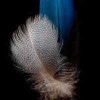 1c68f18324e8ad8663d8ea592b3038c890af3f29