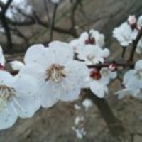 3decfb9656c28e1e0b074399ae7e3122f4066581