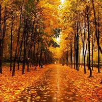 36d8c92cf82093a601e5b5c8ebe47b0c654a29a1