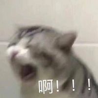 Bacd39fa89271256cf2033f39121f85d6404c42c