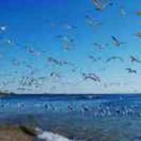 1f955a7b1ab5b60d1db221f341d6e51cdc10254b