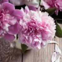 2a891fada0942e61f76b48c3b86b29b39da2345d