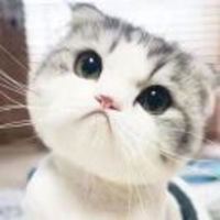 11773489ecbaaecc3f7ab7c3fc27ab6288ad8656