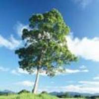 2f4d4a2a5f8cdcdc760406db7321652174084ebb