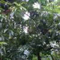 5128eb062d2b6cd8501c437c1afab93582157499