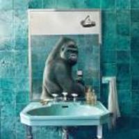 A9cad63de823cca8c1b06f03203de1e2af10cb6f