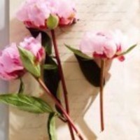 4e42778eb6382ff309341e66b42becc4d697e3e9