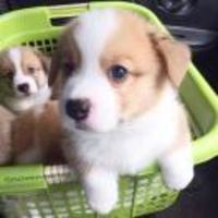 88f87290baefb742e424f0a155aa4fda4dba129b