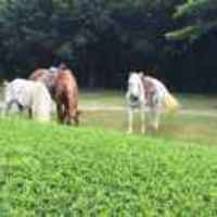 C4497d622f7f25a8f3610240b124048d56f0c326