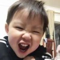 1580f23d2510319567385449d45415d6adb95577