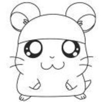 C9cbfd415b4ddfa038d4a40bfa5d77044d9a1419