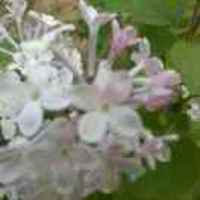 57bfb89aa52784674bddd940c2801ecf958a7c73