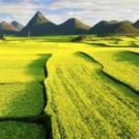 Bb80603341c53a3376856cf1f4b495b253be1307