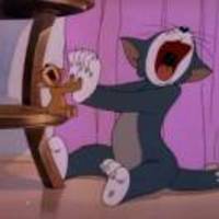 C8c62bb0941b1118cba5d159a95a0f224791890e