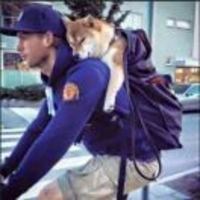 29cf099c4c01c6c566904347c070bb8b05210012