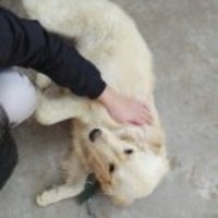 44bddd77252b1d3353d2c1ab3a6c052b693d6d60